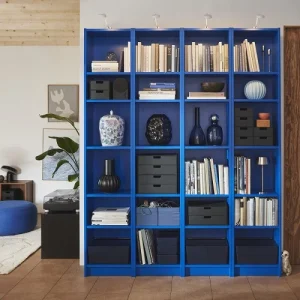 Organización (4)