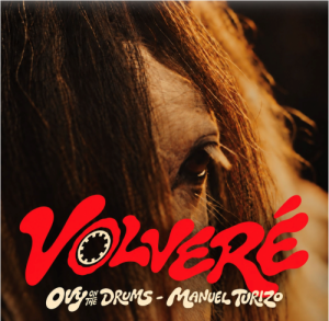 TURIZO volvere