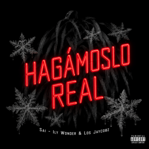 hagamosoreal sai
