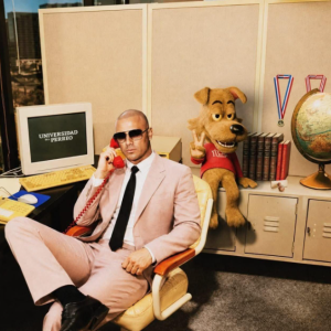 wisin u perreo